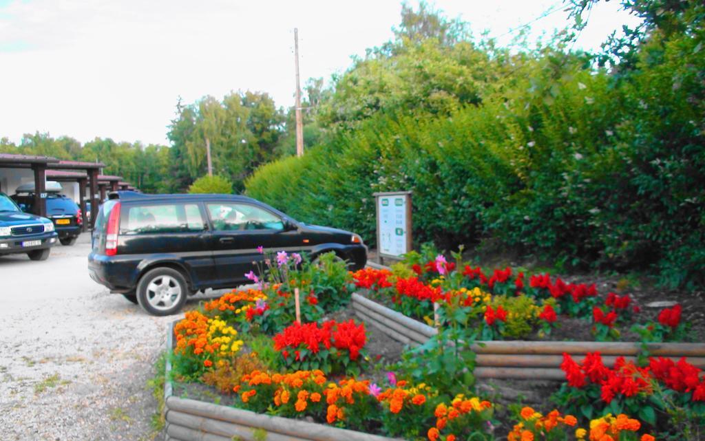 Motel Des Bruyeres Ламот-Бёврон Номер фото